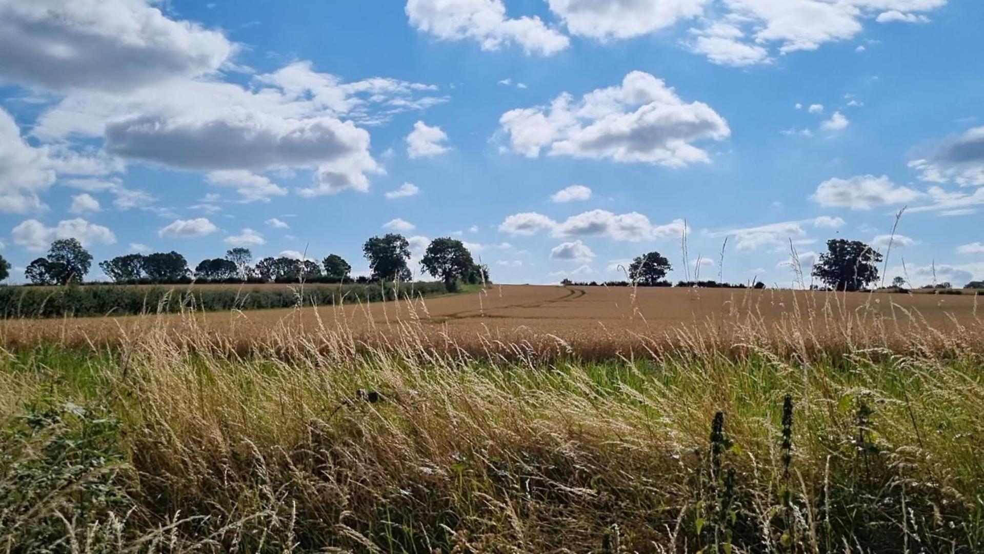 A Quiet Gem Just Outside Oundle Apartment Exterior photo